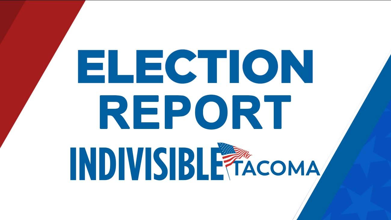 Indivisible Election Report Indivisible