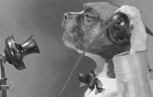 Dogs barking into old-fashioned phones. Animated GIF