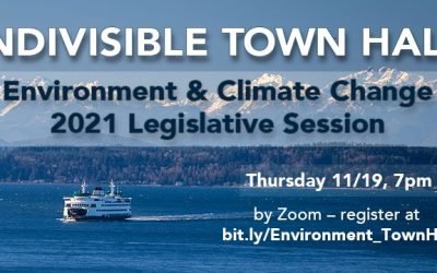 WIN Town Hall with Rep. Joe Fitzgibbon & Sen. Marko Liias